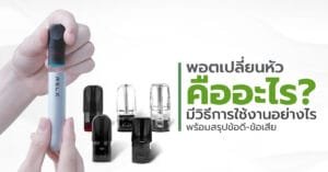 พอตเปลี่ยนหัว คืออะไร